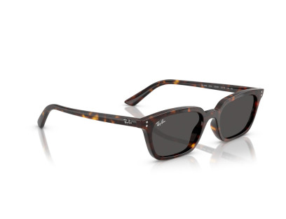 RAY BAN (4456)