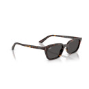 RAY BAN (4456)