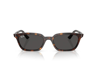 RAY BAN (4456)