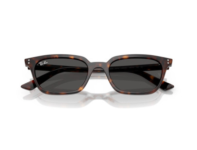 RAY BAN (4456)
