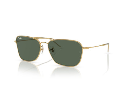 RAY BAN (R0102S)