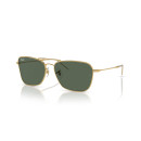 RAY BAN (R0102S)