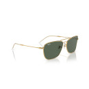 RAY BAN (R0102S)