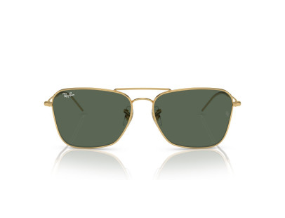 RAY BAN (R0102S)
