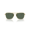 RAY BAN (R0102S)