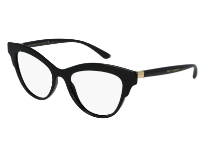 DOLCE GABBANA (3313)