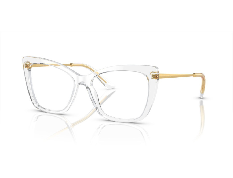 DOLCE GABBANA (3348)