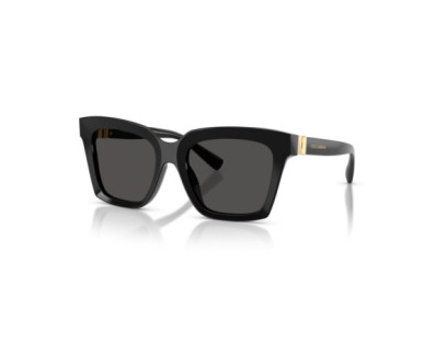 DOLCE GABBANA (4498)