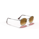 RAY BAN (3447)