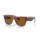 RAY BAN (0840S)
