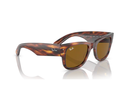 RAY BAN (0840S)