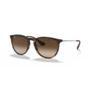 RAY BAN (4171)