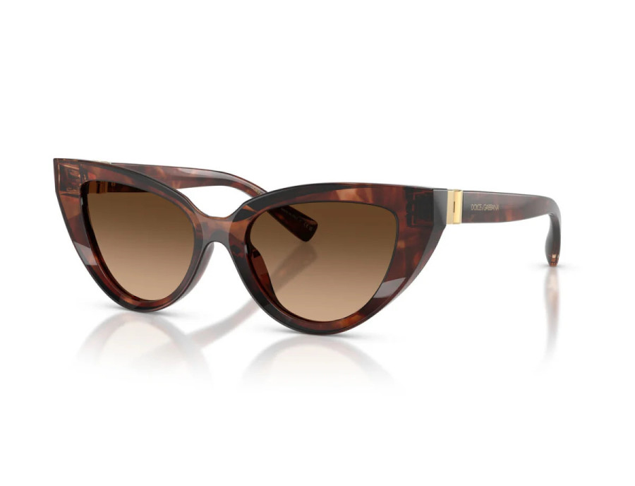 DOLCE GABBANA (4497)