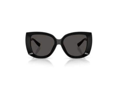 DOLCE GABBANA (4495)