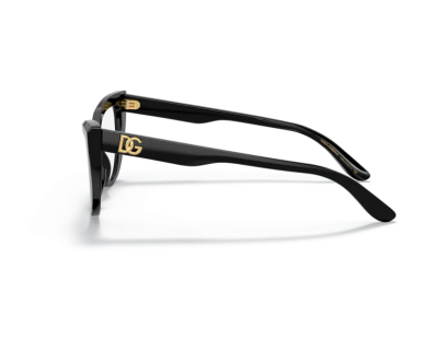 DOLCE GABBANA (3354 V)