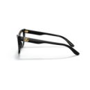 DOLCE GABBANA (3354 V)