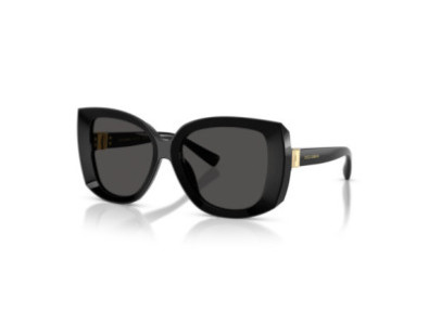 DOLCE GABBANA (4495)