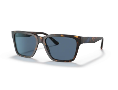 EMPORIO ARMANI ( 4177S)