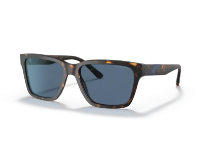 EMPORIO ARMANI ( 4177S)