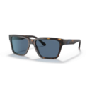 EMPORIO ARMANI ( 4177S)