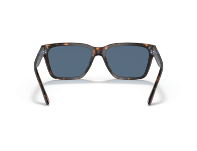 EMPORIO ARMANI ( 4177S)