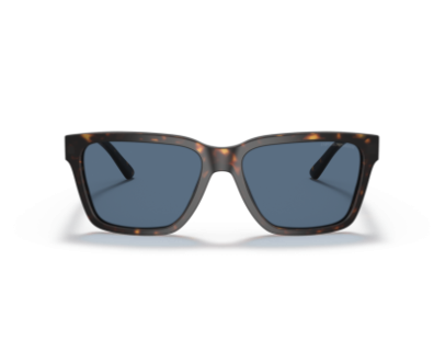 EMPORIO ARMANI ( 4177S)